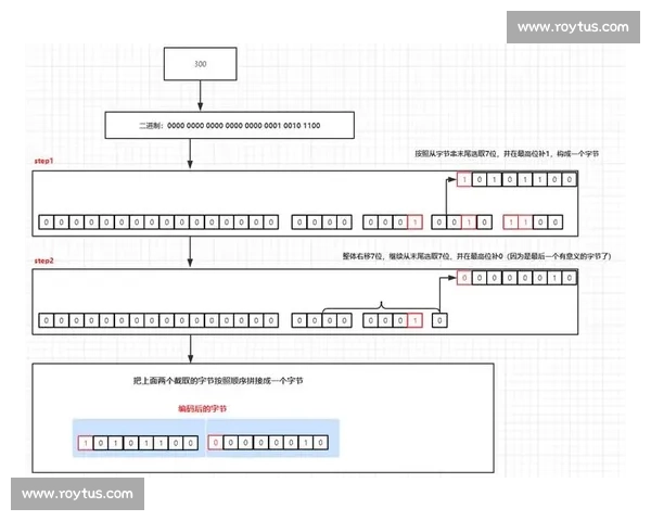 聚焦体育比赛常见战术类型与实战应用解析与创新趋势探讨深度研究