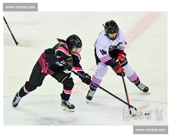 聚焦冰球联赛激战风云与荣耀征程全景深度观察报道发展态势解析特辑