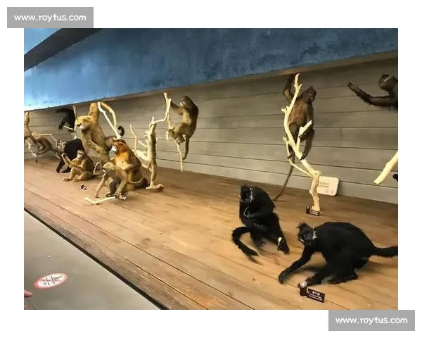 体育赛事科普全解析 从起源到发展 探秘各大赛事背后的故事与规则 - 副本 体育赛事科普全解析 从起源到发展 探秘各大赛事背后的故事与规则 - 副本