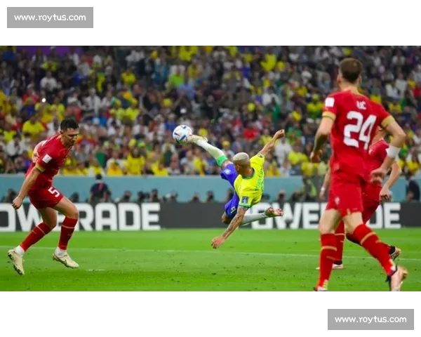 掌握世界杯观赛全攻略从入门到精通技巧解析 - 副本 (2)