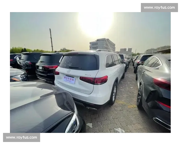 极速竞技巅峰对决：环绕城市与山野的自行车挑战赛全景展现 - 副本 (3)